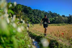 BIB: 
                            <button type="button" onclick="openModal(26573593)" class="btn btn-primary btn-sm float-right btn-popup" data-toggle="modal" data-target=".modal-high-quality">
                        <i class="fas fa-shopping-cart"></i> Add to Cart
                    </button>
                                            <button type="button" onclick="isThisMe(26573593, true)" class="btn btn-success btn-sm float-right btn-popup btn-isme hidden" data-toggle="tooltip" data-placement="bottom" title="นี่คือรูปของคุณใช่ไหม คลิกที่นี่เพื่อเอาเข้าอัลบั้ม">
                        <i class="fas fa-plus"></i> Add to album
                    </button>
                    <button type="button" onclick="isThisMe(26573593, false)" class="btn btn-warning btn-sm float-right btn-popup btn-isnotme hidden">
                        <i class="fas fa-ban"></i> Remove from album
                    </button>