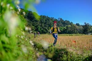 BIB: 
                            <button type="button" onclick="openModal(26579656)" class="btn btn-primary btn-sm float-right btn-popup" data-toggle="modal" data-target=".modal-high-quality">
                        <i class="fas fa-shopping-cart"></i> Add to Cart
                    </button>
                                            <button type="button" onclick="isThisMe(26579656, true)" class="btn btn-success btn-sm float-right btn-popup btn-isme hidden" data-toggle="tooltip" data-placement="bottom" title="นี่คือรูปของคุณใช่ไหม คลิกที่นี่เพื่อเอาเข้าอัลบั้ม">
                        <i class="fas fa-plus"></i> Add to album
                    </button>
                    <button type="button" onclick="isThisMe(26579656, false)" class="btn btn-warning btn-sm float-right btn-popup btn-isnotme hidden">
                        <i class="fas fa-ban"></i> Remove from album
                    </button>