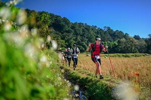 BIB: 
                            <button type="button" onclick="openModal(26571884)" class="btn btn-primary btn-sm float-right btn-popup" data-toggle="modal" data-target=".modal-high-quality">
                        <i class="fas fa-shopping-cart"></i> Add to Cart
                    </button>
                                            <button type="button" onclick="isThisMe(26571884, true)" class="btn btn-success btn-sm float-right btn-popup btn-isme hidden" data-toggle="tooltip" data-placement="bottom" title="นี่คือรูปของคุณใช่ไหม คลิกที่นี่เพื่อเอาเข้าอัลบั้ม">
                        <i class="fas fa-plus"></i> Add to album
                    </button>
                    <button type="button" onclick="isThisMe(26571884, false)" class="btn btn-warning btn-sm float-right btn-popup btn-isnotme hidden">
                        <i class="fas fa-ban"></i> Remove from album
                    </button>