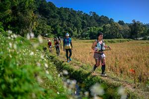 BIB: 
                            <button type="button" onclick="openModal(26575740)" class="btn btn-primary btn-sm float-right btn-popup" data-toggle="modal" data-target=".modal-high-quality">
                        <i class="fas fa-shopping-cart"></i> Add to Cart
                    </button>
                                            <button type="button" onclick="isThisMe(26575740, true)" class="btn btn-success btn-sm float-right btn-popup btn-isme hidden" data-toggle="tooltip" data-placement="bottom" title="นี่คือรูปของคุณใช่ไหม คลิกที่นี่เพื่อเอาเข้าอัลบั้ม">
                        <i class="fas fa-plus"></i> Add to album
                    </button>
                    <button type="button" onclick="isThisMe(26575740, false)" class="btn btn-warning btn-sm float-right btn-popup btn-isnotme hidden">
                        <i class="fas fa-ban"></i> Remove from album
                    </button>