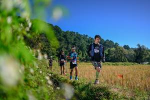 BIB: 
                            <button type="button" onclick="openModal(26580299)" class="btn btn-primary btn-sm float-right btn-popup" data-toggle="modal" data-target=".modal-high-quality">
                        <i class="fas fa-shopping-cart"></i> Add to Cart
                    </button>
                                            <button type="button" onclick="isThisMe(26580299, true)" class="btn btn-success btn-sm float-right btn-popup btn-isme hidden" data-toggle="tooltip" data-placement="bottom" title="นี่คือรูปของคุณใช่ไหม คลิกที่นี่เพื่อเอาเข้าอัลบั้ม">
                        <i class="fas fa-plus"></i> Add to album
                    </button>
                    <button type="button" onclick="isThisMe(26580299, false)" class="btn btn-warning btn-sm float-right btn-popup btn-isnotme hidden">
                        <i class="fas fa-ban"></i> Remove from album
                    </button>