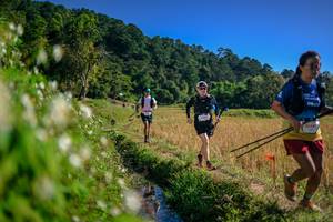 BIB: 
                            <button type="button" onclick="openModal(26575887)" class="btn btn-primary btn-sm float-right btn-popup" data-toggle="modal" data-target=".modal-high-quality">
                        <i class="fas fa-shopping-cart"></i> Add to Cart
                    </button>
                                            <button type="button" onclick="isThisMe(26575887, true)" class="btn btn-success btn-sm float-right btn-popup btn-isme hidden" data-toggle="tooltip" data-placement="bottom" title="นี่คือรูปของคุณใช่ไหม คลิกที่นี่เพื่อเอาเข้าอัลบั้ม">
                        <i class="fas fa-plus"></i> Add to album
                    </button>
                    <button type="button" onclick="isThisMe(26575887, false)" class="btn btn-warning btn-sm float-right btn-popup btn-isnotme hidden">
                        <i class="fas fa-ban"></i> Remove from album
                    </button>