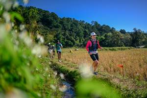 BIB: 
                            <button type="button" onclick="openModal(26574225)" class="btn btn-primary btn-sm float-right btn-popup" data-toggle="modal" data-target=".modal-high-quality">
                        <i class="fas fa-shopping-cart"></i> Add to Cart
                    </button>
                                            <button type="button" onclick="isThisMe(26574225, true)" class="btn btn-success btn-sm float-right btn-popup btn-isme hidden" data-toggle="tooltip" data-placement="bottom" title="นี่คือรูปของคุณใช่ไหม คลิกที่นี่เพื่อเอาเข้าอัลบั้ม">
                        <i class="fas fa-plus"></i> Add to album
                    </button>
                    <button type="button" onclick="isThisMe(26574225, false)" class="btn btn-warning btn-sm float-right btn-popup btn-isnotme hidden">
                        <i class="fas fa-ban"></i> Remove from album
                    </button>