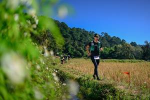 BIB: 
                            <button type="button" onclick="openModal(26580149)" class="btn btn-primary btn-sm float-right btn-popup" data-toggle="modal" data-target=".modal-high-quality">
                        <i class="fas fa-shopping-cart"></i> Add to Cart
                    </button>
                                            <button type="button" onclick="isThisMe(26580149, true)" class="btn btn-success btn-sm float-right btn-popup btn-isme hidden" data-toggle="tooltip" data-placement="bottom" title="นี่คือรูปของคุณใช่ไหม คลิกที่นี่เพื่อเอาเข้าอัลบั้ม">
                        <i class="fas fa-plus"></i> Add to album
                    </button>
                    <button type="button" onclick="isThisMe(26580149, false)" class="btn btn-warning btn-sm float-right btn-popup btn-isnotme hidden">
                        <i class="fas fa-ban"></i> Remove from album
                    </button>