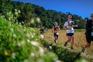 BIB: 
                            <button type="button" onclick="openModal(26582117)" class="btn btn-primary btn-sm float-right btn-popup" data-toggle="modal" data-target=".modal-high-quality">
                        <i class="fas fa-shopping-cart"></i> Add to Cart
                    </button>
                                            <button type="button" onclick="isThisMe(26582117, true)" class="btn btn-success btn-sm float-right btn-popup btn-isme hidden" data-toggle="tooltip" data-placement="bottom" title="นี่คือรูปของคุณใช่ไหม คลิกที่นี่เพื่อเอาเข้าอัลบั้ม">
                        <i class="fas fa-plus"></i> Add to album
                    </button>
                    <button type="button" onclick="isThisMe(26582117, false)" class="btn btn-warning btn-sm float-right btn-popup btn-isnotme hidden">
                        <i class="fas fa-ban"></i> Remove from album
                    </button>