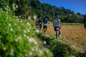 BIB: 
                            <button type="button" onclick="openModal(26581698)" class="btn btn-primary btn-sm float-right btn-popup" data-toggle="modal" data-target=".modal-high-quality">
                        <i class="fas fa-shopping-cart"></i> Add to Cart
                    </button>
                                            <button type="button" onclick="isThisMe(26581698, true)" class="btn btn-success btn-sm float-right btn-popup btn-isme hidden" data-toggle="tooltip" data-placement="bottom" title="นี่คือรูปของคุณใช่ไหม คลิกที่นี่เพื่อเอาเข้าอัลบั้ม">
                        <i class="fas fa-plus"></i> Add to album
                    </button>
                    <button type="button" onclick="isThisMe(26581698, false)" class="btn btn-warning btn-sm float-right btn-popup btn-isnotme hidden">
                        <i class="fas fa-ban"></i> Remove from album
                    </button>