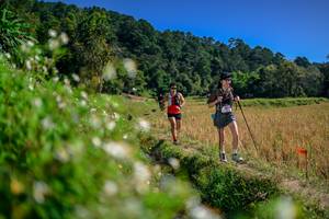 BIB: 
                            <button type="button" onclick="openModal(26581861)" class="btn btn-primary btn-sm float-right btn-popup" data-toggle="modal" data-target=".modal-high-quality">
                        <i class="fas fa-shopping-cart"></i> Add to Cart
                    </button>
                                            <button type="button" onclick="isThisMe(26581861, true)" class="btn btn-success btn-sm float-right btn-popup btn-isme hidden" data-toggle="tooltip" data-placement="bottom" title="นี่คือรูปของคุณใช่ไหม คลิกที่นี่เพื่อเอาเข้าอัลบั้ม">
                        <i class="fas fa-plus"></i> Add to album
                    </button>
                    <button type="button" onclick="isThisMe(26581861, false)" class="btn btn-warning btn-sm float-right btn-popup btn-isnotme hidden">
                        <i class="fas fa-ban"></i> Remove from album
                    </button>