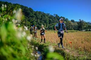 BIB: 
                            <button type="button" onclick="openModal(26575530)" class="btn btn-primary btn-sm float-right btn-popup" data-toggle="modal" data-target=".modal-high-quality">
                        <i class="fas fa-shopping-cart"></i> Add to Cart
                    </button>
                                            <button type="button" onclick="isThisMe(26575530, true)" class="btn btn-success btn-sm float-right btn-popup btn-isme hidden" data-toggle="tooltip" data-placement="bottom" title="นี่คือรูปของคุณใช่ไหม คลิกที่นี่เพื่อเอาเข้าอัลบั้ม">
                        <i class="fas fa-plus"></i> Add to album
                    </button>
                    <button type="button" onclick="isThisMe(26575530, false)" class="btn btn-warning btn-sm float-right btn-popup btn-isnotme hidden">
                        <i class="fas fa-ban"></i> Remove from album
                    </button>