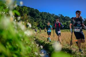 BIB: 
                            <button type="button" onclick="openModal(26574499)" class="btn btn-primary btn-sm float-right btn-popup" data-toggle="modal" data-target=".modal-high-quality">
                        <i class="fas fa-shopping-cart"></i> Add to Cart
                    </button>
                                            <button type="button" onclick="isThisMe(26574499, true)" class="btn btn-success btn-sm float-right btn-popup btn-isme hidden" data-toggle="tooltip" data-placement="bottom" title="นี่คือรูปของคุณใช่ไหม คลิกที่นี่เพื่อเอาเข้าอัลบั้ม">
                        <i class="fas fa-plus"></i> Add to album
                    </button>
                    <button type="button" onclick="isThisMe(26574499, false)" class="btn btn-warning btn-sm float-right btn-popup btn-isnotme hidden">
                        <i class="fas fa-ban"></i> Remove from album
                    </button>