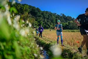 BIB: 
                            <button type="button" onclick="openModal(26573347)" class="btn btn-primary btn-sm float-right btn-popup" data-toggle="modal" data-target=".modal-high-quality">
                        <i class="fas fa-shopping-cart"></i> Add to Cart
                    </button>
                                            <button type="button" onclick="isThisMe(26573347, true)" class="btn btn-success btn-sm float-right btn-popup btn-isme hidden" data-toggle="tooltip" data-placement="bottom" title="นี่คือรูปของคุณใช่ไหม คลิกที่นี่เพื่อเอาเข้าอัลบั้ม">
                        <i class="fas fa-plus"></i> Add to album
                    </button>
                    <button type="button" onclick="isThisMe(26573347, false)" class="btn btn-warning btn-sm float-right btn-popup btn-isnotme hidden">
                        <i class="fas fa-ban"></i> Remove from album
                    </button>