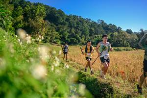 BIB: 
                            <button type="button" onclick="openModal(26570808)" class="btn btn-primary btn-sm float-right btn-popup" data-toggle="modal" data-target=".modal-high-quality">
                        <i class="fas fa-shopping-cart"></i> Add to Cart
                    </button>
                                            <button type="button" onclick="isThisMe(26570808, true)" class="btn btn-success btn-sm float-right btn-popup btn-isme hidden" data-toggle="tooltip" data-placement="bottom" title="นี่คือรูปของคุณใช่ไหม คลิกที่นี่เพื่อเอาเข้าอัลบั้ม">
                        <i class="fas fa-plus"></i> Add to album
                    </button>
                    <button type="button" onclick="isThisMe(26570808, false)" class="btn btn-warning btn-sm float-right btn-popup btn-isnotme hidden">
                        <i class="fas fa-ban"></i> Remove from album
                    </button>