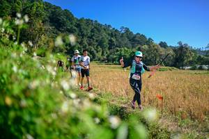 BIB: 
                            <button type="button" onclick="openModal(26581291)" class="btn btn-primary btn-sm float-right btn-popup" data-toggle="modal" data-target=".modal-high-quality">
                        <i class="fas fa-shopping-cart"></i> Add to Cart
                    </button>
                                            <button type="button" onclick="isThisMe(26581291, true)" class="btn btn-success btn-sm float-right btn-popup btn-isme hidden" data-toggle="tooltip" data-placement="bottom" title="นี่คือรูปของคุณใช่ไหม คลิกที่นี่เพื่อเอาเข้าอัลบั้ม">
                        <i class="fas fa-plus"></i> Add to album
                    </button>
                    <button type="button" onclick="isThisMe(26581291, false)" class="btn btn-warning btn-sm float-right btn-popup btn-isnotme hidden">
                        <i class="fas fa-ban"></i> Remove from album
                    </button>