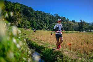 BIB: 
                            <button type="button" onclick="openModal(26575960)" class="btn btn-primary btn-sm float-right btn-popup" data-toggle="modal" data-target=".modal-high-quality">
                        <i class="fas fa-shopping-cart"></i> Add to Cart
                    </button>
                                            <button type="button" onclick="isThisMe(26575960, true)" class="btn btn-success btn-sm float-right btn-popup btn-isme hidden" data-toggle="tooltip" data-placement="bottom" title="นี่คือรูปของคุณใช่ไหม คลิกที่นี่เพื่อเอาเข้าอัลบั้ม">
                        <i class="fas fa-plus"></i> Add to album
                    </button>
                    <button type="button" onclick="isThisMe(26575960, false)" class="btn btn-warning btn-sm float-right btn-popup btn-isnotme hidden">
                        <i class="fas fa-ban"></i> Remove from album
                    </button>