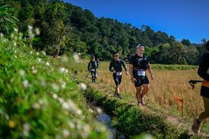 BIB: 
                            <button type="button" onclick="openModal(26581741)" class="btn btn-primary btn-sm float-right btn-popup" data-toggle="modal" data-target=".modal-high-quality">
                        <i class="fas fa-shopping-cart"></i> Add to Cart
                    </button>
                                            <button type="button" onclick="isThisMe(26581741, true)" class="btn btn-success btn-sm float-right btn-popup btn-isme hidden" data-toggle="tooltip" data-placement="bottom" title="นี่คือรูปของคุณใช่ไหม คลิกที่นี่เพื่อเอาเข้าอัลบั้ม">
                        <i class="fas fa-plus"></i> Add to album
                    </button>
                    <button type="button" onclick="isThisMe(26581741, false)" class="btn btn-warning btn-sm float-right btn-popup btn-isnotme hidden">
                        <i class="fas fa-ban"></i> Remove from album
                    </button>