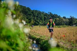 BIB: 
                            <button type="button" onclick="openModal(26574537)" class="btn btn-primary btn-sm float-right btn-popup" data-toggle="modal" data-target=".modal-high-quality">
                        <i class="fas fa-shopping-cart"></i> Add to Cart
                    </button>
                                            <button type="button" onclick="isThisMe(26574537, true)" class="btn btn-success btn-sm float-right btn-popup btn-isme hidden" data-toggle="tooltip" data-placement="bottom" title="นี่คือรูปของคุณใช่ไหม คลิกที่นี่เพื่อเอาเข้าอัลบั้ม">
                        <i class="fas fa-plus"></i> Add to album
                    </button>
                    <button type="button" onclick="isThisMe(26574537, false)" class="btn btn-warning btn-sm float-right btn-popup btn-isnotme hidden">
                        <i class="fas fa-ban"></i> Remove from album
                    </button>