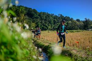 BIB: 
                            <button type="button" onclick="openModal(26574475)" class="btn btn-primary btn-sm float-right btn-popup" data-toggle="modal" data-target=".modal-high-quality">
                        <i class="fas fa-shopping-cart"></i> Add to Cart
                    </button>
                                            <button type="button" onclick="isThisMe(26574475, true)" class="btn btn-success btn-sm float-right btn-popup btn-isme hidden" data-toggle="tooltip" data-placement="bottom" title="นี่คือรูปของคุณใช่ไหม คลิกที่นี่เพื่อเอาเข้าอัลบั้ม">
                        <i class="fas fa-plus"></i> Add to album
                    </button>
                    <button type="button" onclick="isThisMe(26574475, false)" class="btn btn-warning btn-sm float-right btn-popup btn-isnotme hidden">
                        <i class="fas fa-ban"></i> Remove from album
                    </button>