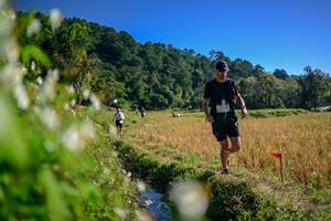 BIB: 
                            <button type="button" onclick="openModal(26573599)" class="btn btn-primary btn-sm float-right btn-popup" data-toggle="modal" data-target=".modal-high-quality">
                        <i class="fas fa-shopping-cart"></i> Add to Cart
                    </button>
                                            <button type="button" onclick="isThisMe(26573599, true)" class="btn btn-success btn-sm float-right btn-popup btn-isme hidden" data-toggle="tooltip" data-placement="bottom" title="นี่คือรูปของคุณใช่ไหม คลิกที่นี่เพื่อเอาเข้าอัลบั้ม">
                        <i class="fas fa-plus"></i> Add to album
                    </button>
                    <button type="button" onclick="isThisMe(26573599, false)" class="btn btn-warning btn-sm float-right btn-popup btn-isnotme hidden">
                        <i class="fas fa-ban"></i> Remove from album
                    </button>