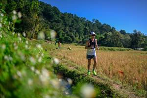 BIB: 
                            <button type="button" onclick="openModal(26576357)" class="btn btn-primary btn-sm float-right btn-popup" data-toggle="modal" data-target=".modal-high-quality">
                        <i class="fas fa-shopping-cart"></i> Add to Cart
                    </button>
                                            <button type="button" onclick="isThisMe(26576357, true)" class="btn btn-success btn-sm float-right btn-popup btn-isme hidden" data-toggle="tooltip" data-placement="bottom" title="นี่คือรูปของคุณใช่ไหม คลิกที่นี่เพื่อเอาเข้าอัลบั้ม">
                        <i class="fas fa-plus"></i> Add to album
                    </button>
                    <button type="button" onclick="isThisMe(26576357, false)" class="btn btn-warning btn-sm float-right btn-popup btn-isnotme hidden">
                        <i class="fas fa-ban"></i> Remove from album
                    </button>