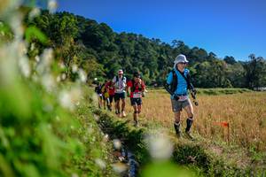 BIB: 
                            <button type="button" onclick="openModal(26573039)" class="btn btn-primary btn-sm float-right btn-popup" data-toggle="modal" data-target=".modal-high-quality">
                        <i class="fas fa-shopping-cart"></i> Add to Cart
                    </button>
                                            <button type="button" onclick="isThisMe(26573039, true)" class="btn btn-success btn-sm float-right btn-popup btn-isme hidden" data-toggle="tooltip" data-placement="bottom" title="นี่คือรูปของคุณใช่ไหม คลิกที่นี่เพื่อเอาเข้าอัลบั้ม">
                        <i class="fas fa-plus"></i> Add to album
                    </button>
                    <button type="button" onclick="isThisMe(26573039, false)" class="btn btn-warning btn-sm float-right btn-popup btn-isnotme hidden">
                        <i class="fas fa-ban"></i> Remove from album
                    </button>