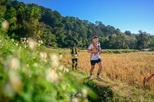 BIB: 
                            <button type="button" onclick="openModal(26570591)" class="btn btn-primary btn-sm float-right btn-popup" data-toggle="modal" data-target=".modal-high-quality">
                        <i class="fas fa-shopping-cart"></i> Add to Cart
                    </button>
                                            <button type="button" onclick="isThisMe(26570591, true)" class="btn btn-success btn-sm float-right btn-popup btn-isme hidden" data-toggle="tooltip" data-placement="bottom" title="นี่คือรูปของคุณใช่ไหม คลิกที่นี่เพื่อเอาเข้าอัลบั้ม">
                        <i class="fas fa-plus"></i> Add to album
                    </button>
                    <button type="button" onclick="isThisMe(26570591, false)" class="btn btn-warning btn-sm float-right btn-popup btn-isnotme hidden">
                        <i class="fas fa-ban"></i> Remove from album
                    </button>