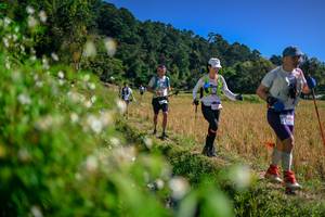 BIB: 
                            <button type="button" onclick="openModal(26581608)" class="btn btn-primary btn-sm float-right btn-popup" data-toggle="modal" data-target=".modal-high-quality">
                        <i class="fas fa-shopping-cart"></i> Add to Cart
                    </button>
                                            <button type="button" onclick="isThisMe(26581608, true)" class="btn btn-success btn-sm float-right btn-popup btn-isme hidden" data-toggle="tooltip" data-placement="bottom" title="นี่คือรูปของคุณใช่ไหม คลิกที่นี่เพื่อเอาเข้าอัลบั้ม">
                        <i class="fas fa-plus"></i> Add to album
                    </button>
                    <button type="button" onclick="isThisMe(26581608, false)" class="btn btn-warning btn-sm float-right btn-popup btn-isnotme hidden">
                        <i class="fas fa-ban"></i> Remove from album
                    </button>