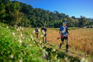 BIB: 
                            <button type="button" onclick="openModal(26571237)" class="btn btn-primary btn-sm float-right btn-popup" data-toggle="modal" data-target=".modal-high-quality">
                        <i class="fas fa-shopping-cart"></i> Add to Cart
                    </button>
                                            <button type="button" onclick="isThisMe(26571237, true)" class="btn btn-success btn-sm float-right btn-popup btn-isme hidden" data-toggle="tooltip" data-placement="bottom" title="นี่คือรูปของคุณใช่ไหม คลิกที่นี่เพื่อเอาเข้าอัลบั้ม">
                        <i class="fas fa-plus"></i> Add to album
                    </button>
                    <button type="button" onclick="isThisMe(26571237, false)" class="btn btn-warning btn-sm float-right btn-popup btn-isnotme hidden">
                        <i class="fas fa-ban"></i> Remove from album
                    </button>