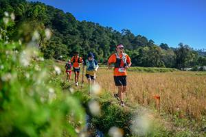 BIB: 
                            <button type="button" onclick="openModal(26579586)" class="btn btn-primary btn-sm float-right btn-popup" data-toggle="modal" data-target=".modal-high-quality">
                        <i class="fas fa-shopping-cart"></i> Add to Cart
                    </button>
                                            <button type="button" onclick="isThisMe(26579586, true)" class="btn btn-success btn-sm float-right btn-popup btn-isme hidden" data-toggle="tooltip" data-placement="bottom" title="นี่คือรูปของคุณใช่ไหม คลิกที่นี่เพื่อเอาเข้าอัลบั้ม">
                        <i class="fas fa-plus"></i> Add to album
                    </button>
                    <button type="button" onclick="isThisMe(26579586, false)" class="btn btn-warning btn-sm float-right btn-popup btn-isnotme hidden">
                        <i class="fas fa-ban"></i> Remove from album
                    </button>