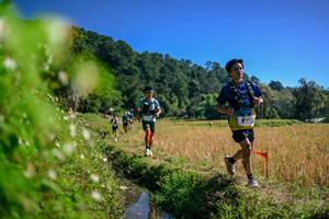 BIB: 
                            <button type="button" onclick="openModal(26580909)" class="btn btn-primary btn-sm float-right btn-popup" data-toggle="modal" data-target=".modal-high-quality">
                        <i class="fas fa-shopping-cart"></i> Add to Cart
                    </button>
                                            <button type="button" onclick="isThisMe(26580909, true)" class="btn btn-success btn-sm float-right btn-popup btn-isme hidden" data-toggle="tooltip" data-placement="bottom" title="นี่คือรูปของคุณใช่ไหม คลิกที่นี่เพื่อเอาเข้าอัลบั้ม">
                        <i class="fas fa-plus"></i> Add to album
                    </button>
                    <button type="button" onclick="isThisMe(26580909, false)" class="btn btn-warning btn-sm float-right btn-popup btn-isnotme hidden">
                        <i class="fas fa-ban"></i> Remove from album
                    </button>