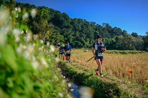 BIB: 
                            <button type="button" onclick="openModal(26571749)" class="btn btn-primary btn-sm float-right btn-popup" data-toggle="modal" data-target=".modal-high-quality">
                        <i class="fas fa-shopping-cart"></i> Add to Cart
                    </button>
                                            <button type="button" onclick="isThisMe(26571749, true)" class="btn btn-success btn-sm float-right btn-popup btn-isme hidden" data-toggle="tooltip" data-placement="bottom" title="นี่คือรูปของคุณใช่ไหม คลิกที่นี่เพื่อเอาเข้าอัลบั้ม">
                        <i class="fas fa-plus"></i> Add to album
                    </button>
                    <button type="button" onclick="isThisMe(26571749, false)" class="btn btn-warning btn-sm float-right btn-popup btn-isnotme hidden">
                        <i class="fas fa-ban"></i> Remove from album
                    </button>