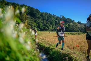 BIB: 
                            <button type="button" onclick="openModal(26571685)" class="btn btn-primary btn-sm float-right btn-popup" data-toggle="modal" data-target=".modal-high-quality">
                        <i class="fas fa-shopping-cart"></i> Add to Cart
                    </button>
                                            <button type="button" onclick="isThisMe(26571685, true)" class="btn btn-success btn-sm float-right btn-popup btn-isme hidden" data-toggle="tooltip" data-placement="bottom" title="นี่คือรูปของคุณใช่ไหม คลิกที่นี่เพื่อเอาเข้าอัลบั้ม">
                        <i class="fas fa-plus"></i> Add to album
                    </button>
                    <button type="button" onclick="isThisMe(26571685, false)" class="btn btn-warning btn-sm float-right btn-popup btn-isnotme hidden">
                        <i class="fas fa-ban"></i> Remove from album
                    </button>