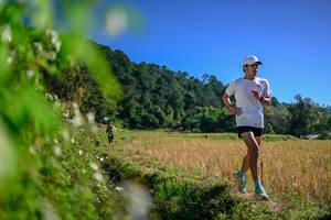 BIB: 
                            <button type="button" onclick="openModal(26580776)" class="btn btn-primary btn-sm float-right btn-popup" data-toggle="modal" data-target=".modal-high-quality">
                        <i class="fas fa-shopping-cart"></i> Add to Cart
                    </button>
                                            <button type="button" onclick="isThisMe(26580776, true)" class="btn btn-success btn-sm float-right btn-popup btn-isme hidden" data-toggle="tooltip" data-placement="bottom" title="นี่คือรูปของคุณใช่ไหม คลิกที่นี่เพื่อเอาเข้าอัลบั้ม">
                        <i class="fas fa-plus"></i> Add to album
                    </button>
                    <button type="button" onclick="isThisMe(26580776, false)" class="btn btn-warning btn-sm float-right btn-popup btn-isnotme hidden">
                        <i class="fas fa-ban"></i> Remove from album
                    </button>