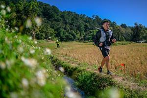 BIB: 
                            <button type="button" onclick="openModal(26582553)" class="btn btn-primary btn-sm float-right btn-popup" data-toggle="modal" data-target=".modal-high-quality">
                        <i class="fas fa-shopping-cart"></i> Add to Cart
                    </button>
                                            <button type="button" onclick="isThisMe(26582553, true)" class="btn btn-success btn-sm float-right btn-popup btn-isme hidden" data-toggle="tooltip" data-placement="bottom" title="นี่คือรูปของคุณใช่ไหม คลิกที่นี่เพื่อเอาเข้าอัลบั้ม">
                        <i class="fas fa-plus"></i> Add to album
                    </button>
                    <button type="button" onclick="isThisMe(26582553, false)" class="btn btn-warning btn-sm float-right btn-popup btn-isnotme hidden">
                        <i class="fas fa-ban"></i> Remove from album
                    </button>