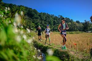 BIB: 
                            <button type="button" onclick="openModal(26575549)" class="btn btn-primary btn-sm float-right btn-popup" data-toggle="modal" data-target=".modal-high-quality">
                        <i class="fas fa-shopping-cart"></i> Add to Cart
                    </button>
                                            <button type="button" onclick="isThisMe(26575549, true)" class="btn btn-success btn-sm float-right btn-popup btn-isme hidden" data-toggle="tooltip" data-placement="bottom" title="นี่คือรูปของคุณใช่ไหม คลิกที่นี่เพื่อเอาเข้าอัลบั้ม">
                        <i class="fas fa-plus"></i> Add to album
                    </button>
                    <button type="button" onclick="isThisMe(26575549, false)" class="btn btn-warning btn-sm float-right btn-popup btn-isnotme hidden">
                        <i class="fas fa-ban"></i> Remove from album
                    </button>