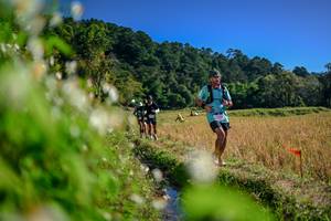 BIB: 
                            <button type="button" onclick="openModal(26574237)" class="btn btn-primary btn-sm float-right btn-popup" data-toggle="modal" data-target=".modal-high-quality">
                        <i class="fas fa-shopping-cart"></i> Add to Cart
                    </button>
                                            <button type="button" onclick="isThisMe(26574237, true)" class="btn btn-success btn-sm float-right btn-popup btn-isme hidden" data-toggle="tooltip" data-placement="bottom" title="นี่คือรูปของคุณใช่ไหม คลิกที่นี่เพื่อเอาเข้าอัลบั้ม">
                        <i class="fas fa-plus"></i> Add to album
                    </button>
                    <button type="button" onclick="isThisMe(26574237, false)" class="btn btn-warning btn-sm float-right btn-popup btn-isnotme hidden">
                        <i class="fas fa-ban"></i> Remove from album
                    </button>