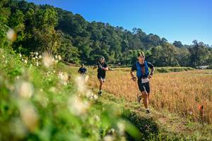 BIB: 
                            <button type="button" onclick="openModal(26570565)" class="btn btn-primary btn-sm float-right btn-popup" data-toggle="modal" data-target=".modal-high-quality">
                        <i class="fas fa-shopping-cart"></i> Add to Cart
                    </button>
                                            <button type="button" onclick="isThisMe(26570565, true)" class="btn btn-success btn-sm float-right btn-popup btn-isme hidden" data-toggle="tooltip" data-placement="bottom" title="นี่คือรูปของคุณใช่ไหม คลิกที่นี่เพื่อเอาเข้าอัลบั้ม">
                        <i class="fas fa-plus"></i> Add to album
                    </button>
                    <button type="button" onclick="isThisMe(26570565, false)" class="btn btn-warning btn-sm float-right btn-popup btn-isnotme hidden">
                        <i class="fas fa-ban"></i> Remove from album
                    </button>