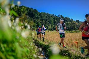 BIB: 
                            <button type="button" onclick="openModal(26572976)" class="btn btn-primary btn-sm float-right btn-popup" data-toggle="modal" data-target=".modal-high-quality">
                        <i class="fas fa-shopping-cart"></i> Add to Cart
                    </button>
                                            <button type="button" onclick="isThisMe(26572976, true)" class="btn btn-success btn-sm float-right btn-popup btn-isme hidden" data-toggle="tooltip" data-placement="bottom" title="นี่คือรูปของคุณใช่ไหม คลิกที่นี่เพื่อเอาเข้าอัลบั้ม">
                        <i class="fas fa-plus"></i> Add to album
                    </button>
                    <button type="button" onclick="isThisMe(26572976, false)" class="btn btn-warning btn-sm float-right btn-popup btn-isnotme hidden">
                        <i class="fas fa-ban"></i> Remove from album
                    </button>