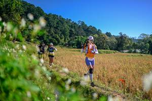 BIB: 
                            <button type="button" onclick="openModal(26576542)" class="btn btn-primary btn-sm float-right btn-popup" data-toggle="modal" data-target=".modal-high-quality">
                        <i class="fas fa-shopping-cart"></i> Add to Cart
                    </button>
                                            <button type="button" onclick="isThisMe(26576542, true)" class="btn btn-success btn-sm float-right btn-popup btn-isme hidden" data-toggle="tooltip" data-placement="bottom" title="นี่คือรูปของคุณใช่ไหม คลิกที่นี่เพื่อเอาเข้าอัลบั้ม">
                        <i class="fas fa-plus"></i> Add to album
                    </button>
                    <button type="button" onclick="isThisMe(26576542, false)" class="btn btn-warning btn-sm float-right btn-popup btn-isnotme hidden">
                        <i class="fas fa-ban"></i> Remove from album
                    </button>