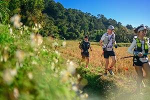 BIB: 
                            <button type="button" onclick="openModal(26571009)" class="btn btn-primary btn-sm float-right btn-popup" data-toggle="modal" data-target=".modal-high-quality">
                        <i class="fas fa-shopping-cart"></i> Add to Cart
                    </button>
                                            <button type="button" onclick="isThisMe(26571009, true)" class="btn btn-success btn-sm float-right btn-popup btn-isme hidden" data-toggle="tooltip" data-placement="bottom" title="นี่คือรูปของคุณใช่ไหม คลิกที่นี่เพื่อเอาเข้าอัลบั้ม">
                        <i class="fas fa-plus"></i> Add to album
                    </button>
                    <button type="button" onclick="isThisMe(26571009, false)" class="btn btn-warning btn-sm float-right btn-popup btn-isnotme hidden">
                        <i class="fas fa-ban"></i> Remove from album
                    </button>