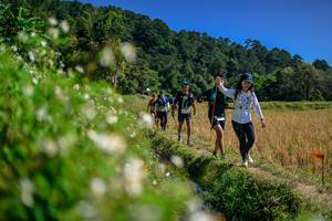 BIB: 
                            <button type="button" onclick="openModal(26583157)" class="btn btn-primary btn-sm float-right btn-popup" data-toggle="modal" data-target=".modal-high-quality">
                        <i class="fas fa-shopping-cart"></i> Add to Cart
                    </button>
                                            <button type="button" onclick="isThisMe(26583157, true)" class="btn btn-success btn-sm float-right btn-popup btn-isme hidden" data-toggle="tooltip" data-placement="bottom" title="นี่คือรูปของคุณใช่ไหม คลิกที่นี่เพื่อเอาเข้าอัลบั้ม">
                        <i class="fas fa-plus"></i> Add to album
                    </button>
                    <button type="button" onclick="isThisMe(26583157, false)" class="btn btn-warning btn-sm float-right btn-popup btn-isnotme hidden">
                        <i class="fas fa-ban"></i> Remove from album
                    </button>