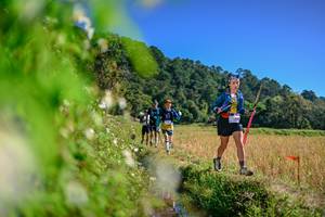 BIB: 
                            <button type="button" onclick="openModal(26581216)" class="btn btn-primary btn-sm float-right btn-popup" data-toggle="modal" data-target=".modal-high-quality">
                        <i class="fas fa-shopping-cart"></i> Add to Cart
                    </button>
                                            <button type="button" onclick="isThisMe(26581216, true)" class="btn btn-success btn-sm float-right btn-popup btn-isme hidden" data-toggle="tooltip" data-placement="bottom" title="นี่คือรูปของคุณใช่ไหม คลิกที่นี่เพื่อเอาเข้าอัลบั้ม">
                        <i class="fas fa-plus"></i> Add to album
                    </button>
                    <button type="button" onclick="isThisMe(26581216, false)" class="btn btn-warning btn-sm float-right btn-popup btn-isnotme hidden">
                        <i class="fas fa-ban"></i> Remove from album
                    </button>