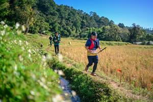 BIB: 
                            <button type="button" onclick="openModal(26576382)" class="btn btn-primary btn-sm float-right btn-popup" data-toggle="modal" data-target=".modal-high-quality">
                        <i class="fas fa-shopping-cart"></i> Add to Cart
                    </button>
                                            <button type="button" onclick="isThisMe(26576382, true)" class="btn btn-success btn-sm float-right btn-popup btn-isme hidden" data-toggle="tooltip" data-placement="bottom" title="นี่คือรูปของคุณใช่ไหม คลิกที่นี่เพื่อเอาเข้าอัลบั้ม">
                        <i class="fas fa-plus"></i> Add to album
                    </button>
                    <button type="button" onclick="isThisMe(26576382, false)" class="btn btn-warning btn-sm float-right btn-popup btn-isnotme hidden">
                        <i class="fas fa-ban"></i> Remove from album
                    </button>