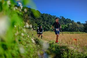 BIB: 
                            <button type="button" onclick="openModal(26580174)" class="btn btn-primary btn-sm float-right btn-popup" data-toggle="modal" data-target=".modal-high-quality">
                        <i class="fas fa-shopping-cart"></i> Add to Cart
                    </button>
                                            <button type="button" onclick="isThisMe(26580174, true)" class="btn btn-success btn-sm float-right btn-popup btn-isme hidden" data-toggle="tooltip" data-placement="bottom" title="นี่คือรูปของคุณใช่ไหม คลิกที่นี่เพื่อเอาเข้าอัลบั้ม">
                        <i class="fas fa-plus"></i> Add to album
                    </button>
                    <button type="button" onclick="isThisMe(26580174, false)" class="btn btn-warning btn-sm float-right btn-popup btn-isnotme hidden">
                        <i class="fas fa-ban"></i> Remove from album
                    </button>