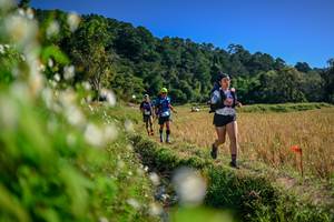 BIB: 
                            <button type="button" onclick="openModal(26574771)" class="btn btn-primary btn-sm float-right btn-popup" data-toggle="modal" data-target=".modal-high-quality">
                        <i class="fas fa-shopping-cart"></i> Add to Cart
                    </button>
                                            <button type="button" onclick="isThisMe(26574771, true)" class="btn btn-success btn-sm float-right btn-popup btn-isme hidden" data-toggle="tooltip" data-placement="bottom" title="นี่คือรูปของคุณใช่ไหม คลิกที่นี่เพื่อเอาเข้าอัลบั้ม">
                        <i class="fas fa-plus"></i> Add to album
                    </button>
                    <button type="button" onclick="isThisMe(26574771, false)" class="btn btn-warning btn-sm float-right btn-popup btn-isnotme hidden">
                        <i class="fas fa-ban"></i> Remove from album
                    </button>