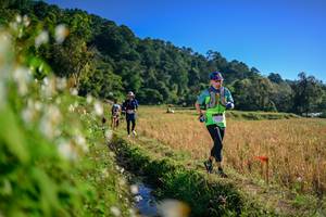 BIB: 
                            <button type="button" onclick="openModal(26571559)" class="btn btn-primary btn-sm float-right btn-popup" data-toggle="modal" data-target=".modal-high-quality">
                        <i class="fas fa-shopping-cart"></i> Add to Cart
                    </button>
                                            <button type="button" onclick="isThisMe(26571559, true)" class="btn btn-success btn-sm float-right btn-popup btn-isme hidden" data-toggle="tooltip" data-placement="bottom" title="นี่คือรูปของคุณใช่ไหม คลิกที่นี่เพื่อเอาเข้าอัลบั้ม">
                        <i class="fas fa-plus"></i> Add to album
                    </button>
                    <button type="button" onclick="isThisMe(26571559, false)" class="btn btn-warning btn-sm float-right btn-popup btn-isnotme hidden">
                        <i class="fas fa-ban"></i> Remove from album
                    </button>