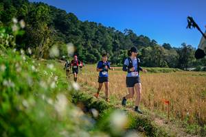 BIB: 
                            <button type="button" onclick="openModal(26576105)" class="btn btn-primary btn-sm float-right btn-popup" data-toggle="modal" data-target=".modal-high-quality">
                        <i class="fas fa-shopping-cart"></i> Add to Cart
                    </button>
                                            <button type="button" onclick="isThisMe(26576105, true)" class="btn btn-success btn-sm float-right btn-popup btn-isme hidden" data-toggle="tooltip" data-placement="bottom" title="นี่คือรูปของคุณใช่ไหม คลิกที่นี่เพื่อเอาเข้าอัลบั้ม">
                        <i class="fas fa-plus"></i> Add to album
                    </button>
                    <button type="button" onclick="isThisMe(26576105, false)" class="btn btn-warning btn-sm float-right btn-popup btn-isnotme hidden">
                        <i class="fas fa-ban"></i> Remove from album
                    </button>