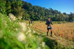 BIB: 
                            <button type="button" onclick="openModal(26570770)" class="btn btn-primary btn-sm float-right btn-popup" data-toggle="modal" data-target=".modal-high-quality">
                        <i class="fas fa-shopping-cart"></i> Add to Cart
                    </button>
                                            <button type="button" onclick="isThisMe(26570770, true)" class="btn btn-success btn-sm float-right btn-popup btn-isme hidden" data-toggle="tooltip" data-placement="bottom" title="นี่คือรูปของคุณใช่ไหม คลิกที่นี่เพื่อเอาเข้าอัลบั้ม">
                        <i class="fas fa-plus"></i> Add to album
                    </button>
                    <button type="button" onclick="isThisMe(26570770, false)" class="btn btn-warning btn-sm float-right btn-popup btn-isnotme hidden">
                        <i class="fas fa-ban"></i> Remove from album
                    </button>