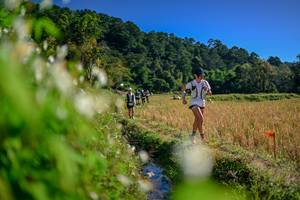 BIB: 
                            <button type="button" onclick="openModal(26573753)" class="btn btn-primary btn-sm float-right btn-popup" data-toggle="modal" data-target=".modal-high-quality">
                        <i class="fas fa-shopping-cart"></i> Add to Cart
                    </button>
                                            <button type="button" onclick="isThisMe(26573753, true)" class="btn btn-success btn-sm float-right btn-popup btn-isme hidden" data-toggle="tooltip" data-placement="bottom" title="นี่คือรูปของคุณใช่ไหม คลิกที่นี่เพื่อเอาเข้าอัลบั้ม">
                        <i class="fas fa-plus"></i> Add to album
                    </button>
                    <button type="button" onclick="isThisMe(26573753, false)" class="btn btn-warning btn-sm float-right btn-popup btn-isnotme hidden">
                        <i class="fas fa-ban"></i> Remove from album
                    </button>