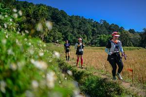 BIB: 
                            <button type="button" onclick="openModal(26583042)" class="btn btn-primary btn-sm float-right btn-popup" data-toggle="modal" data-target=".modal-high-quality">
                        <i class="fas fa-shopping-cart"></i> Add to Cart
                    </button>
                                            <button type="button" onclick="isThisMe(26583042, true)" class="btn btn-success btn-sm float-right btn-popup btn-isme hidden" data-toggle="tooltip" data-placement="bottom" title="นี่คือรูปของคุณใช่ไหม คลิกที่นี่เพื่อเอาเข้าอัลบั้ม">
                        <i class="fas fa-plus"></i> Add to album
                    </button>
                    <button type="button" onclick="isThisMe(26583042, false)" class="btn btn-warning btn-sm float-right btn-popup btn-isnotme hidden">
                        <i class="fas fa-ban"></i> Remove from album
                    </button>