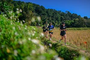 BIB: 
                            <button type="button" onclick="openModal(26582277)" class="btn btn-primary btn-sm float-right btn-popup" data-toggle="modal" data-target=".modal-high-quality">
                        <i class="fas fa-shopping-cart"></i> Add to Cart
                    </button>
                                            <button type="button" onclick="isThisMe(26582277, true)" class="btn btn-success btn-sm float-right btn-popup btn-isme hidden" data-toggle="tooltip" data-placement="bottom" title="นี่คือรูปของคุณใช่ไหม คลิกที่นี่เพื่อเอาเข้าอัลบั้ม">
                        <i class="fas fa-plus"></i> Add to album
                    </button>
                    <button type="button" onclick="isThisMe(26582277, false)" class="btn btn-warning btn-sm float-right btn-popup btn-isnotme hidden">
                        <i class="fas fa-ban"></i> Remove from album
                    </button>