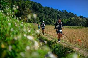 BIB: 
                            <button type="button" onclick="openModal(26582401)" class="btn btn-primary btn-sm float-right btn-popup" data-toggle="modal" data-target=".modal-high-quality">
                        <i class="fas fa-shopping-cart"></i> Add to Cart
                    </button>
                                            <button type="button" onclick="isThisMe(26582401, true)" class="btn btn-success btn-sm float-right btn-popup btn-isme hidden" data-toggle="tooltip" data-placement="bottom" title="นี่คือรูปของคุณใช่ไหม คลิกที่นี่เพื่อเอาเข้าอัลบั้ม">
                        <i class="fas fa-plus"></i> Add to album
                    </button>
                    <button type="button" onclick="isThisMe(26582401, false)" class="btn btn-warning btn-sm float-right btn-popup btn-isnotme hidden">
                        <i class="fas fa-ban"></i> Remove from album
                    </button>